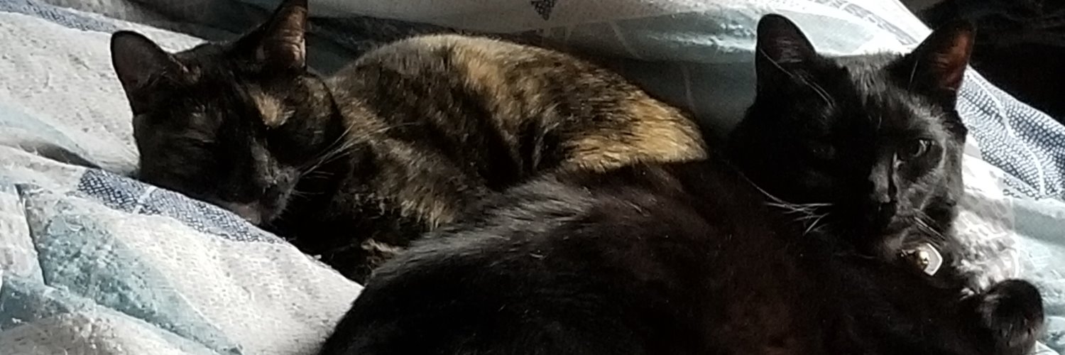 CaseyLeonard's profile banner image