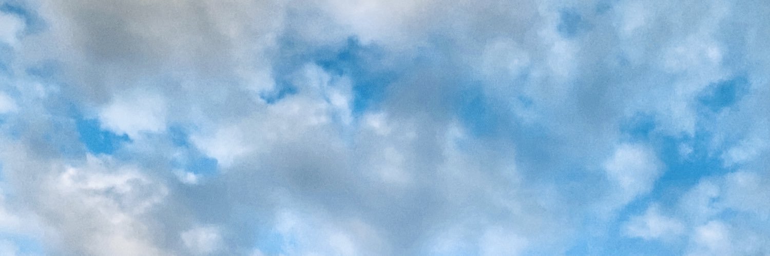 laripacheco_'s profile banner image