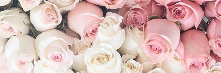 megaandaanielle's profile banner image