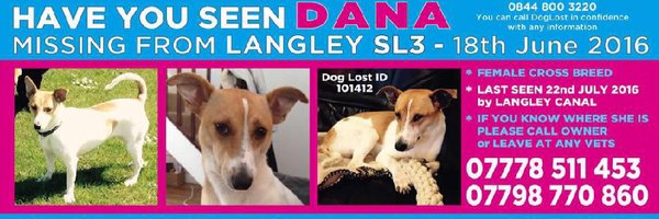 MishRodriguez Profile Banner