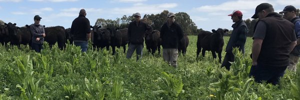 ehilsdon Profile Banner