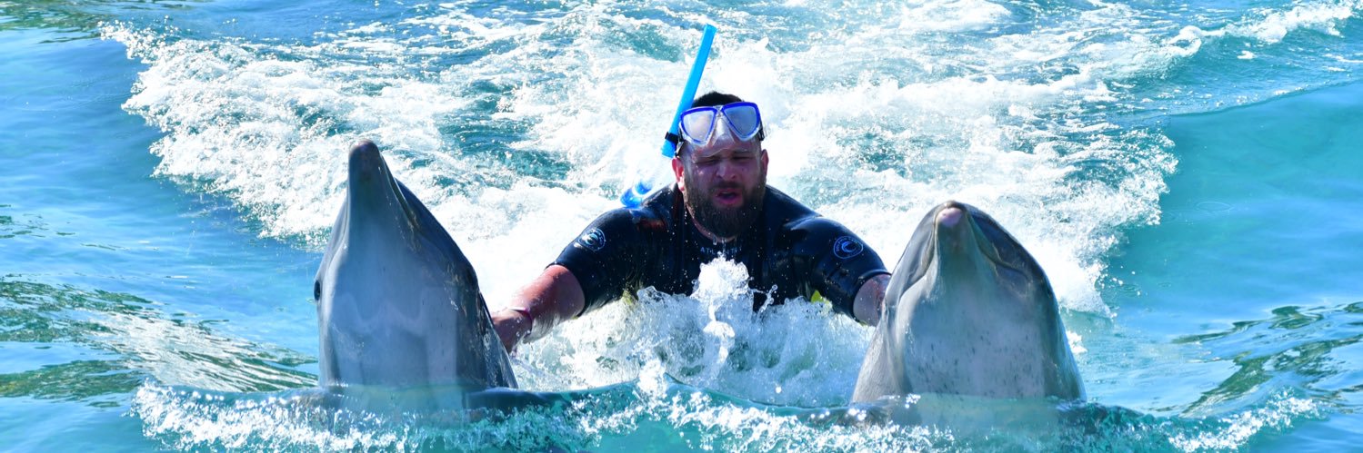 Andrew Kendrick banner