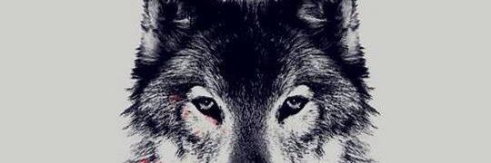 Dimasanugraah's profile banner image