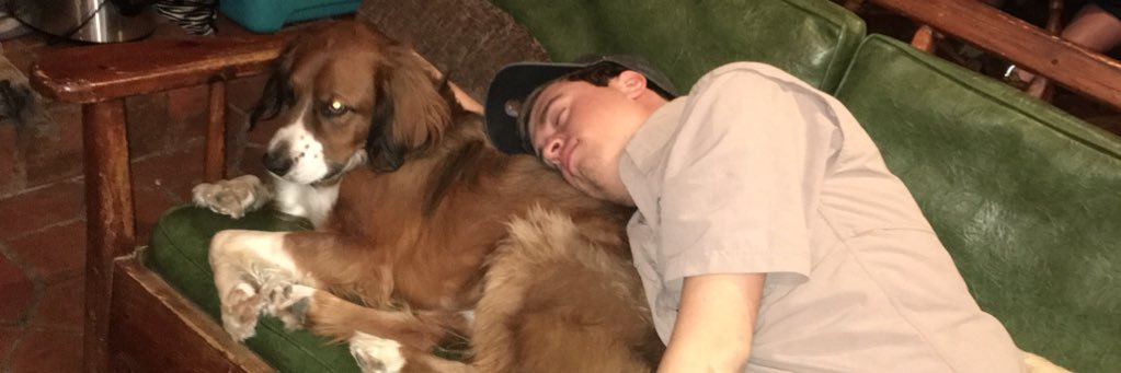 mseyl3's profile banner image