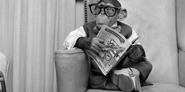 Samiuel Létailleure banner