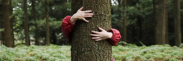 smainard Profile Banner