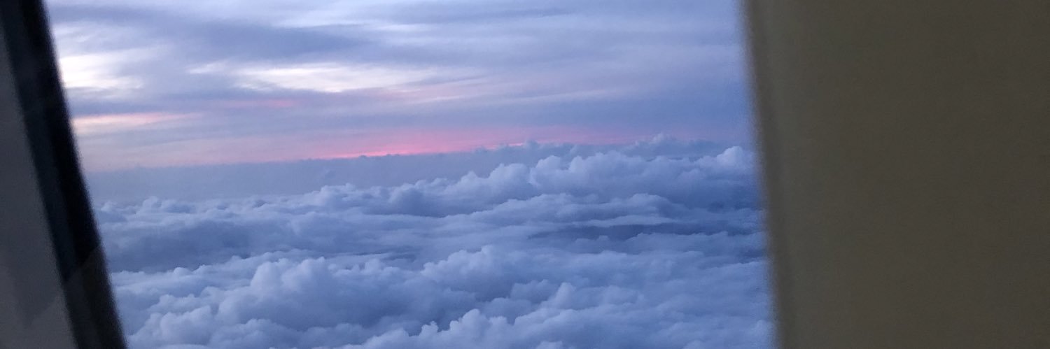 dianemelo_'s profile banner image
