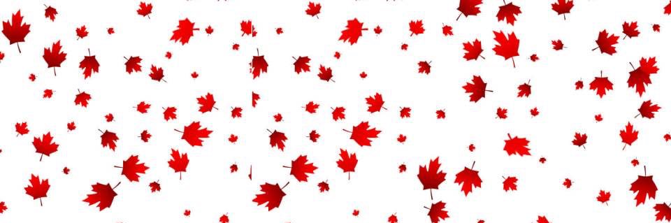 CanadiansTweets's profile banner image