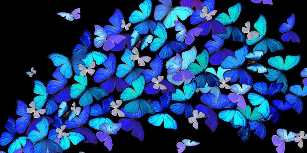 DianeLong11's profile banner image