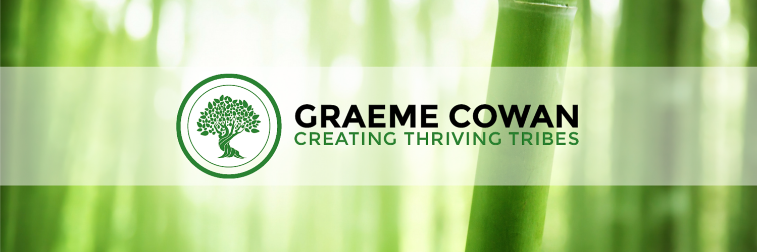 ThrivingTribes's profile banner image