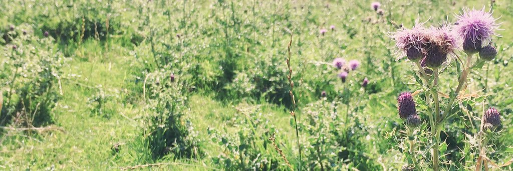 gemjoys's profile banner image