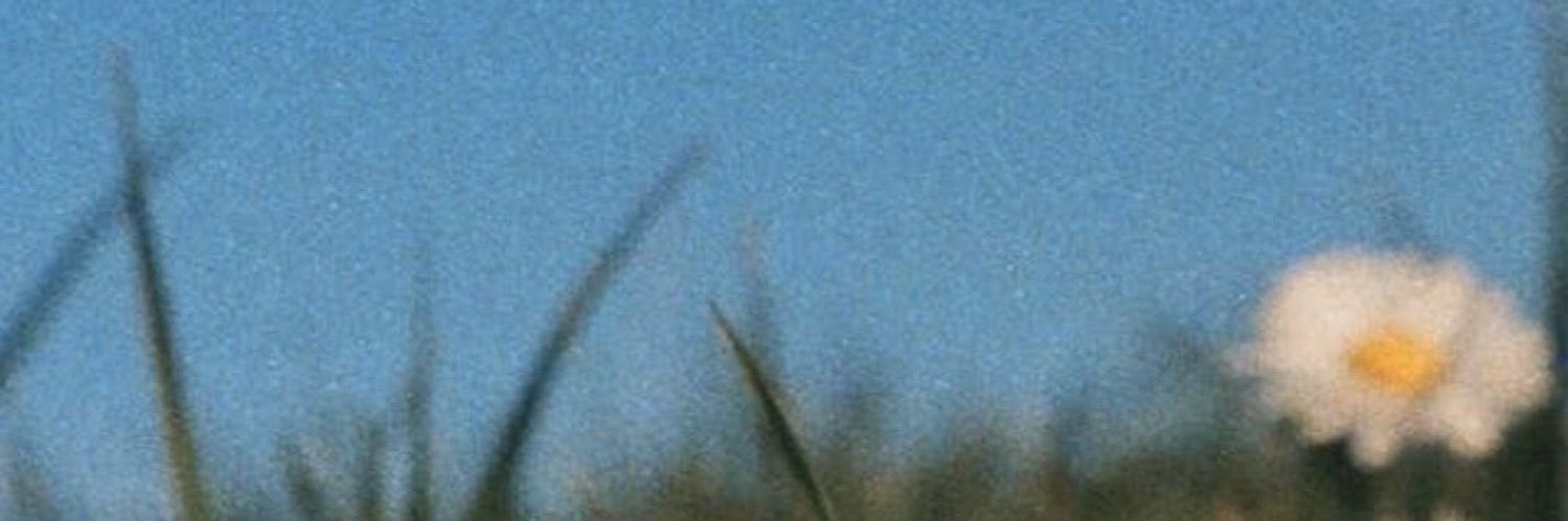 kubrafazliogluu's profile banner image