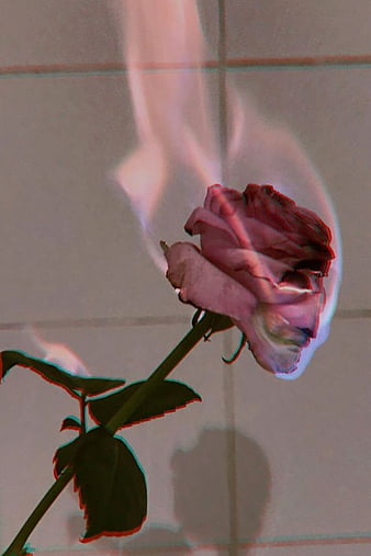 RezaElnis's profile banner image