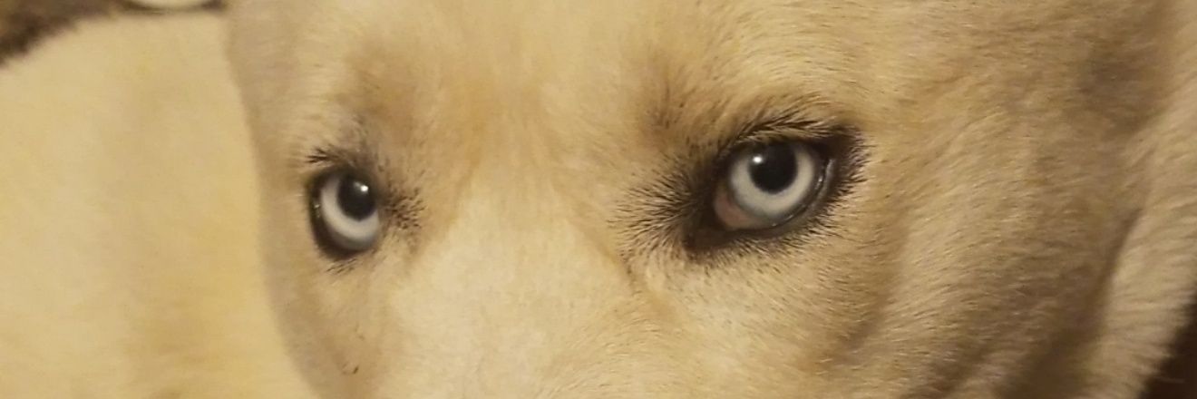will_e909's profile banner image