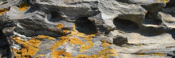 jaumefe Profile Banner