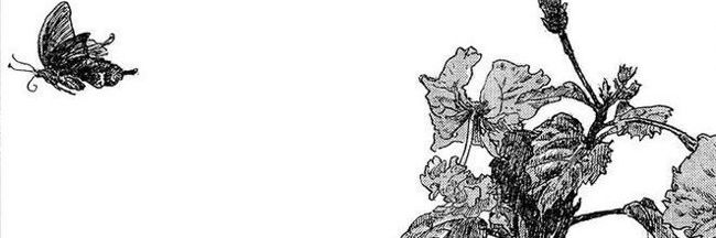 gallivantx's profile banner image