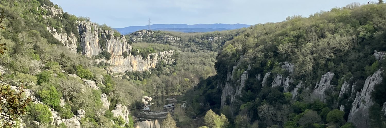 Nena Leunis 🌈 🌈 banner