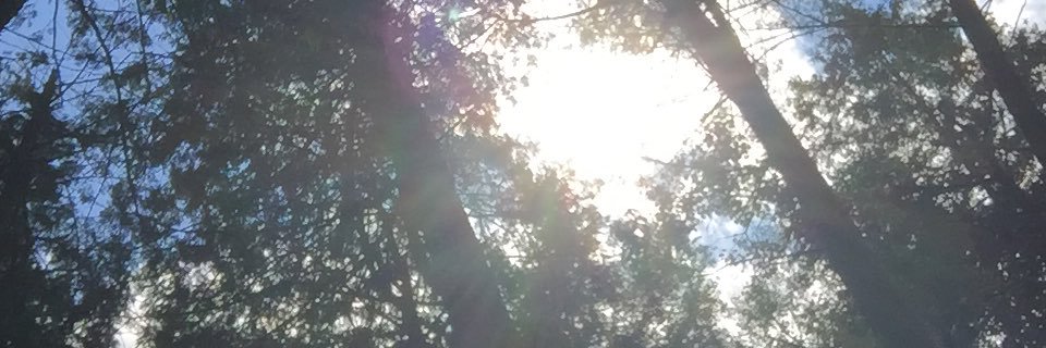 karmalovesku's profile banner image
