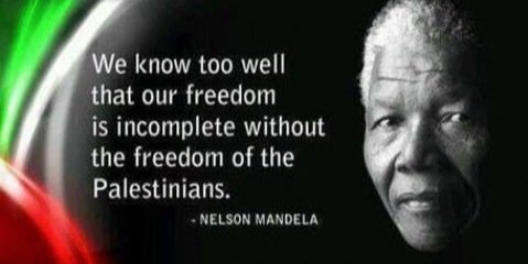 Freedom is near 🇵🇸 banner