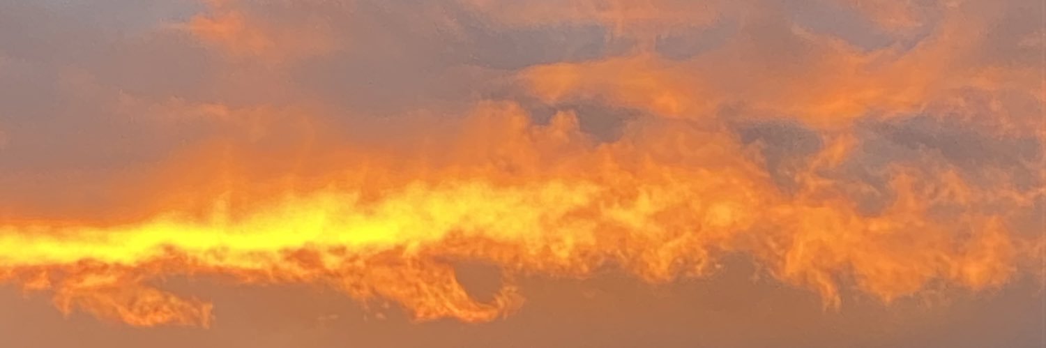Snikertis's profile banner image