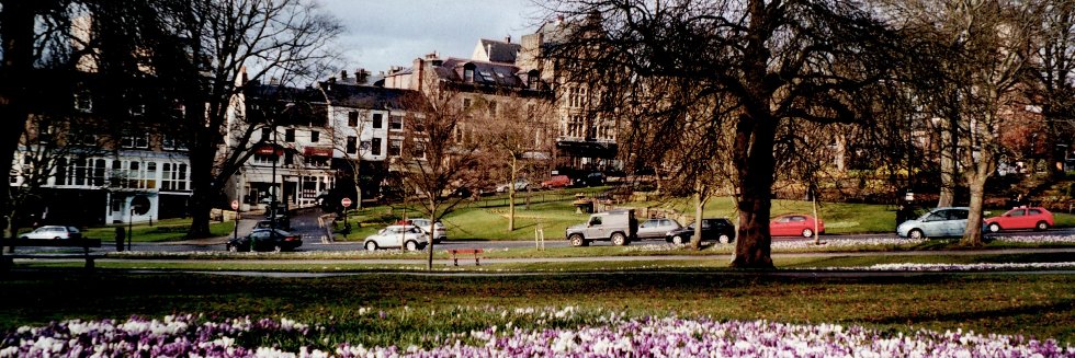 Harrogate Help banner