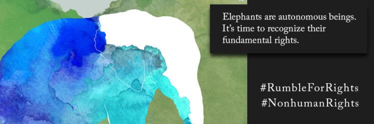AnmalsRights's profile banner image