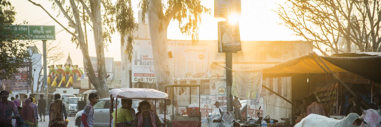 herrfoerster's profile banner image