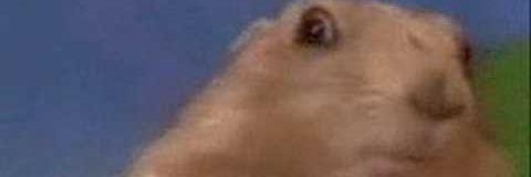 GregCauf's profile banner image