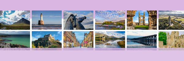 st_alliance Profile Banner