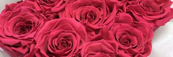maxman339's profile banner image