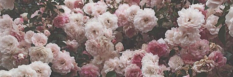 moee_a's profile banner image