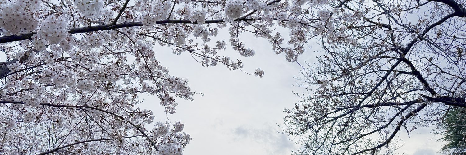 shingww's profile banner image