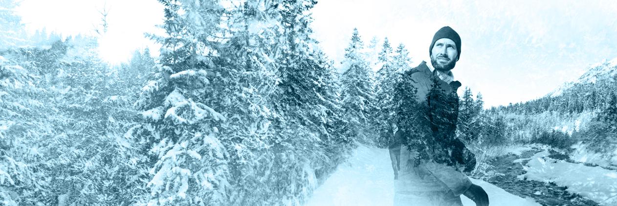 IcebugFi's profile banner image