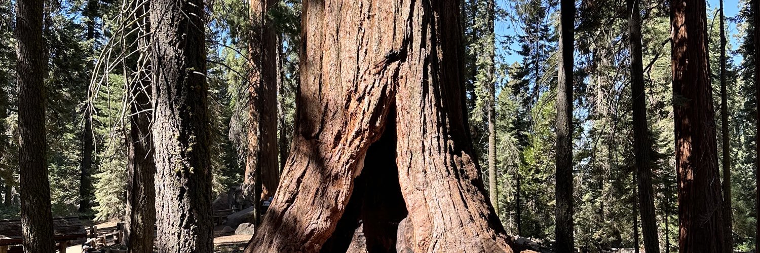 dane lancaster banner