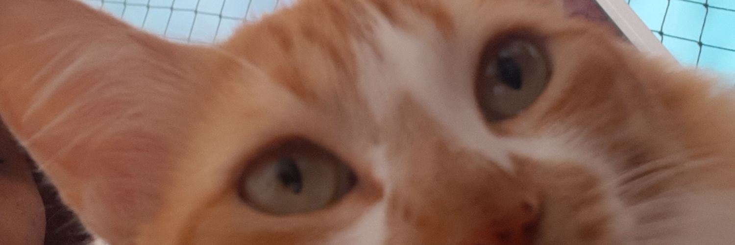 befubaz's profile banner image