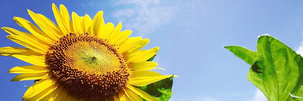 222Love32's profile banner image