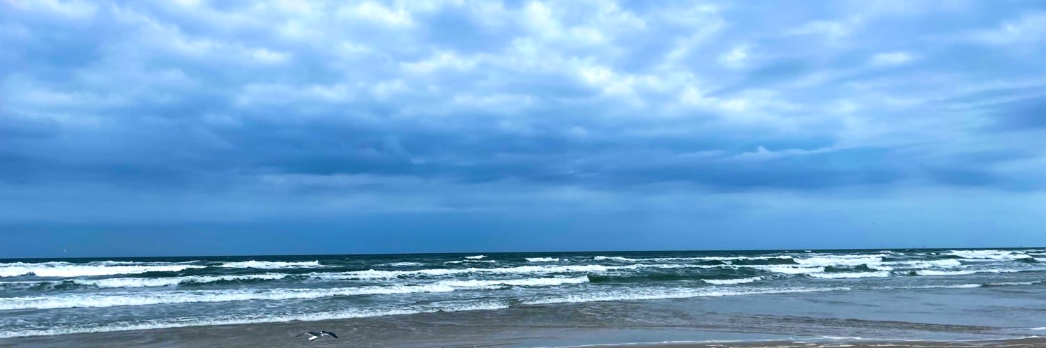 Just another Chris 𝕏 banner