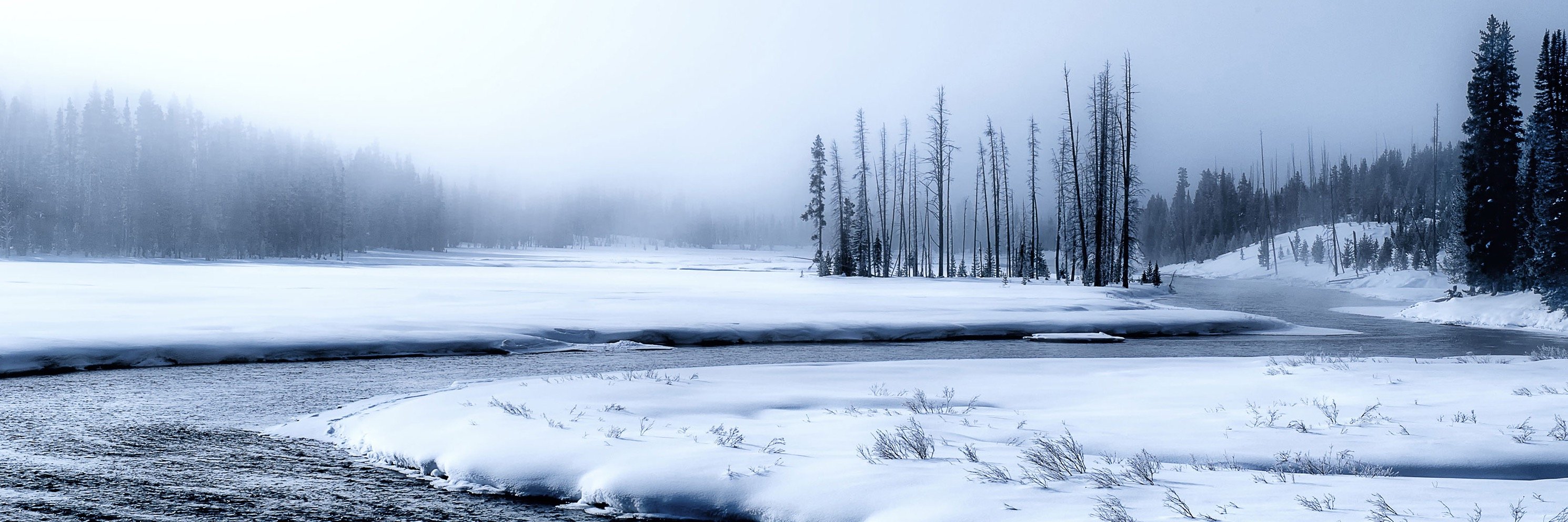 silverculture's profile banner image