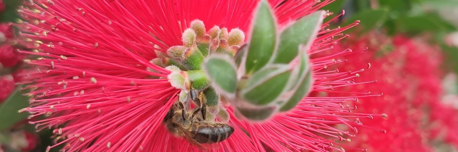 Héloïse GUYOT banner