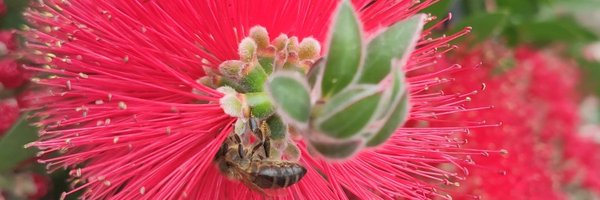 HeloiseGUYOT Profile Banner