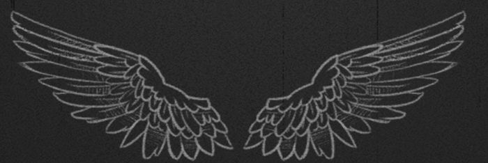 tmfdl2121's profile banner image