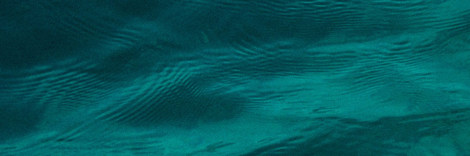 maximontano's profile banner image