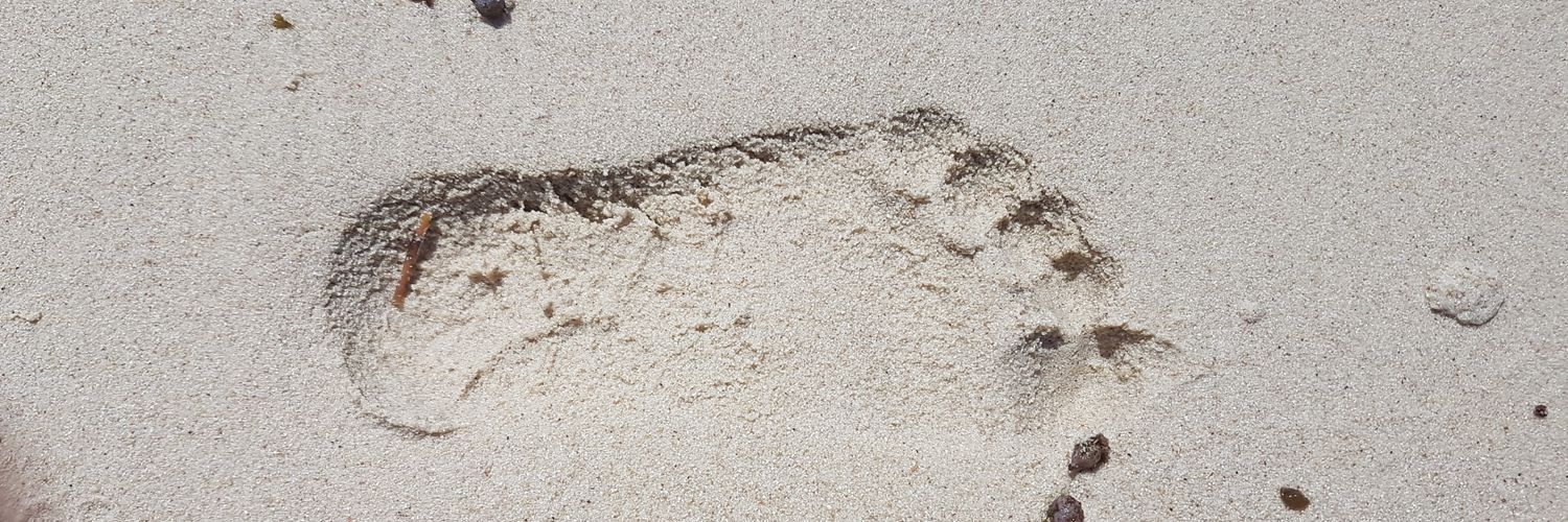 Caryn banner