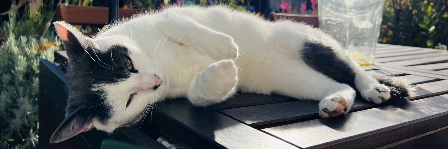 Nicolas Rousseau banner