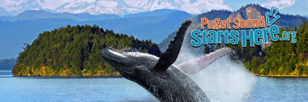 PSstartshere Profile Banner