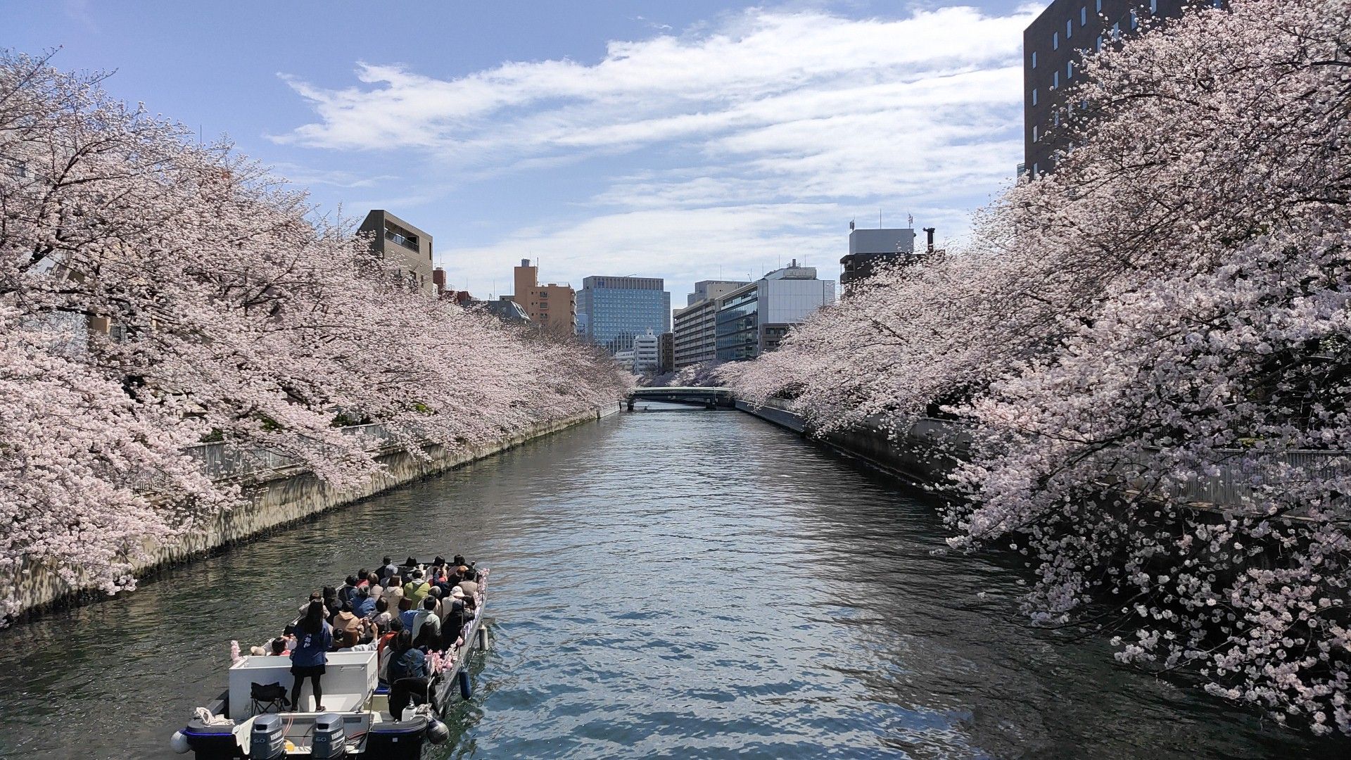 brush_oroshi's profile banner image