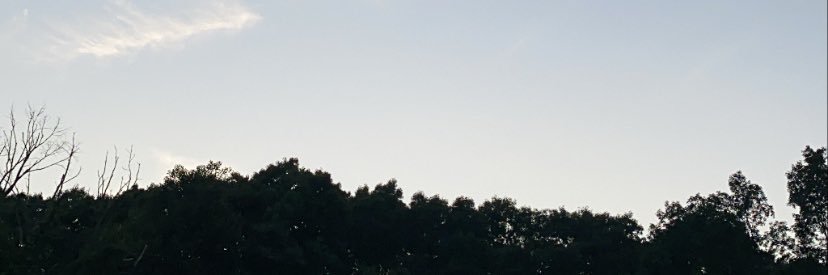 andreagtzor's profile banner image