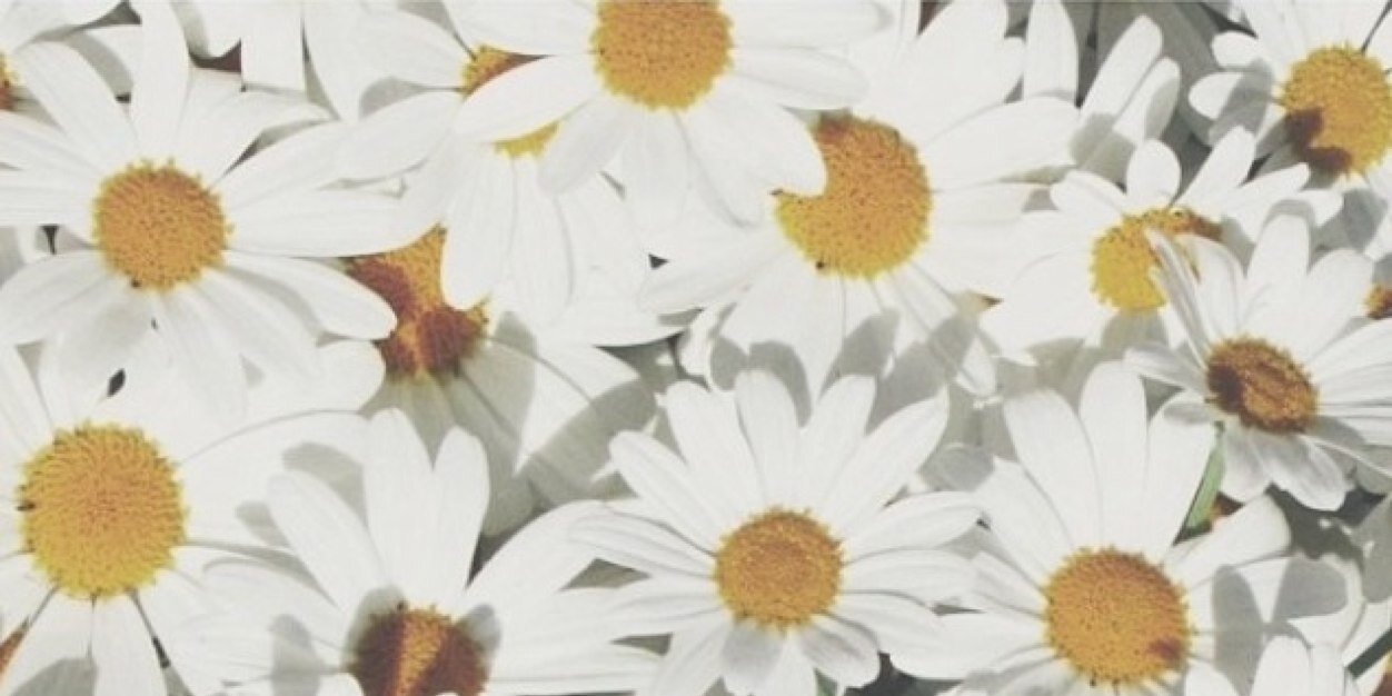 Juliette_9699's profile banner image