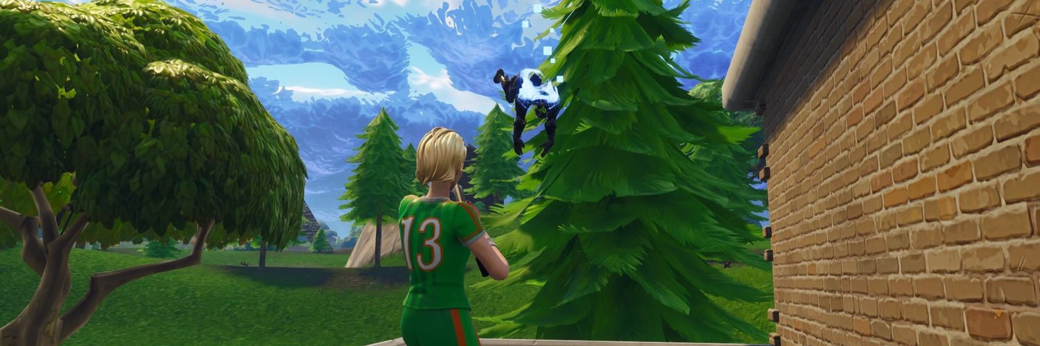 XIIlwinter's profile banner image