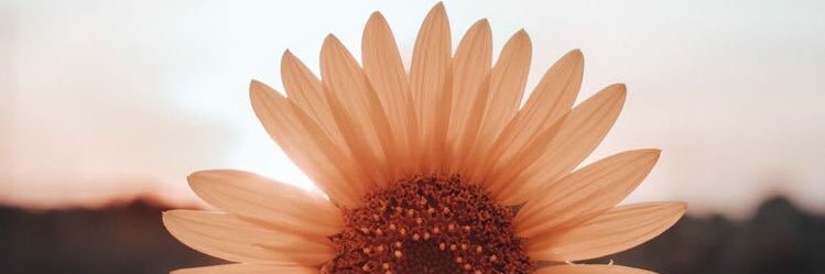 alinmarilin's profile banner image
